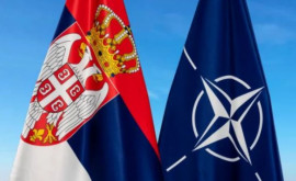 Serbia nu intenționează să adere la NATO