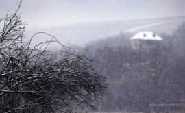 Prognoza meteo pentru 26 ianuarie