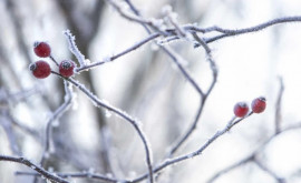 Prognoza meteo pentru 29 ianuarie