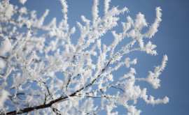 Prognoza meteo pentru 31 ianuarie