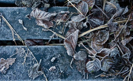 Prognoza meteo pentru 4 februarie