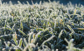 Prognoza meteo pentru 8 februarie