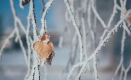 Prognoza meteo pentru 12 februarie