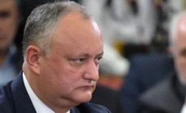 Avocații lui Dodon amendați