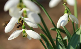 Prognoza meteo pentru 3 martie