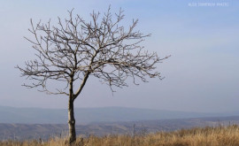 Prognoza meteo pentru 5 martie