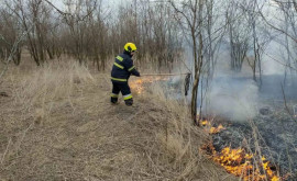 12 cazuri de lichidare a focarelor de vegetație uscată în ultimele 24 de ore