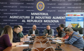 Bolea a discutat cu producătorii de pomușoare despre problemele din sector