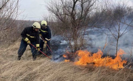 Vîntul stăpîn pe țară Recomandările salvatorilor