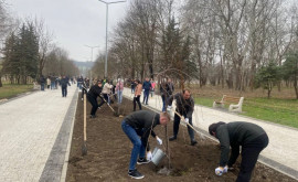 В парке Ла Извор появилась Аллея молодежи