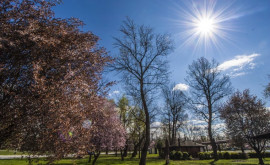 Prognoza meteo pentru 25 martie