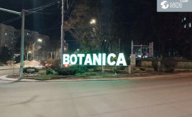 23 martie ziua de naștere a Botanicii moderne