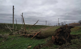 Сегодняшняя буря оставила без света десятки населенных пунктов