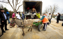 Sprijinul de urgență permite familiilor din Moldova săși hrănească animalele din gospodărie