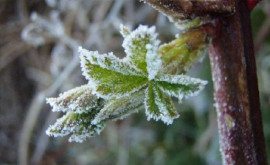 O nouă zi o nouă surpriză de la meteo