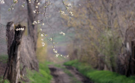 Prognoza meteo pentru 11 aprilie