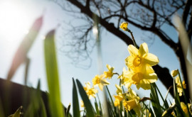 Prognoza meteo pentru 13 aprilie