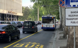 Trei ani de la apariţia primei benzi dedicate pentru transportul public