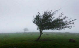 Meteorologii anunță Cod Galben de vînt