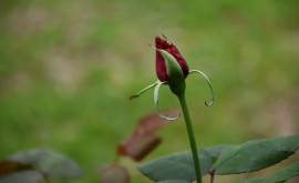 Prognoza meteo pentru 2 mai