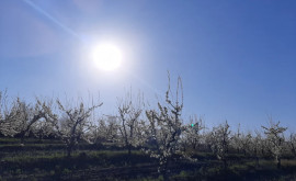 Prognoza meteo pentru 5 mai