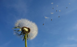 Prognoza meteo pentru 16 mai