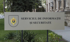 Cum este organizat Serviciul de Informații și Securitate și cu ce se ocupă