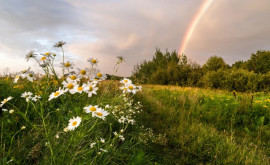 Prognoza meteo pentru 25 mai