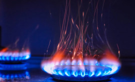 Некоторые компании пользуются спецценами на природный газ Речан комментирует ситуацию