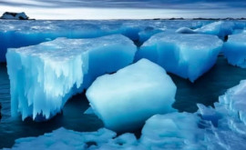 Монреальский протокол В Арктике лед будет стабильным еще 15 лет 