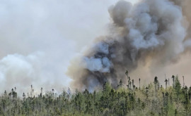 În Canada a avut loc una dintre cele mai mari evacuări