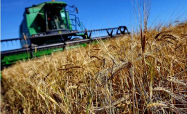 Agricultorii din Taraclia Estimăm o roadă mai bună ca anul trecut