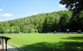 Albinele au oprit un meci de fotbal din Germania