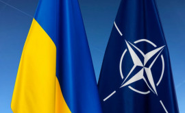 Глава Пентагона НАТО не будет вступать в военные действия в Украине