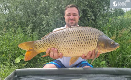 Festivalul de Carpfishing competiție unică întro locație de vis