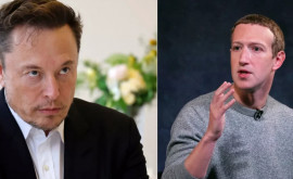 O bătaie între Musk și Zuckerberg ar produce venituri colosale