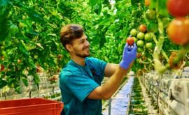 Bolea Republica Moldova ar putea deveni un important hub investițional în domeniul agriculturii