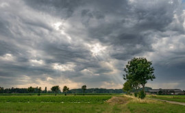 Prognoza meteo pentru 31 iulie