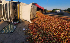 Un camion plin cu mere sa răsturnat la Soroca