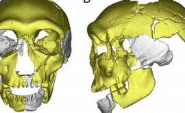 În China au fost descoperite rămășițele unei specii de om primitiv necunoscute anterior