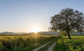 Prognoza meteo pentru 10 august