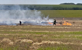 Incendiile de vegetație fac prăpăd Intervențiile pompierilor