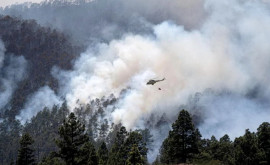 Mai multe localităţi evacuate după izbucnirea unui incendiu în Tenerife