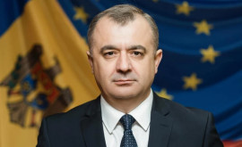 Chicu după acuzațiile lui Nichiforciuc Se pare că rămîn unica speranță a lui Vlad Gheorghici