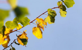 Prognoza meteo pentru 10 septembrie