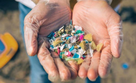 Decizie importantă de protecție a mediului restricționarea microplasticelor 