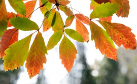 Prognoza meteo pentru 29 septembrie