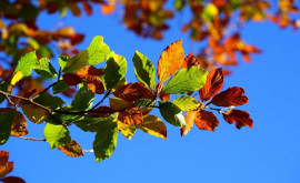 Prognoza meteo pentru 3 octombrie