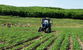 Operatorii din sectorul agricol instruiți la distanță