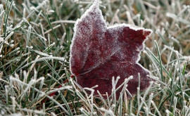 Vin înghețurile ce temperaturi ne așteaptă în următoarele zile